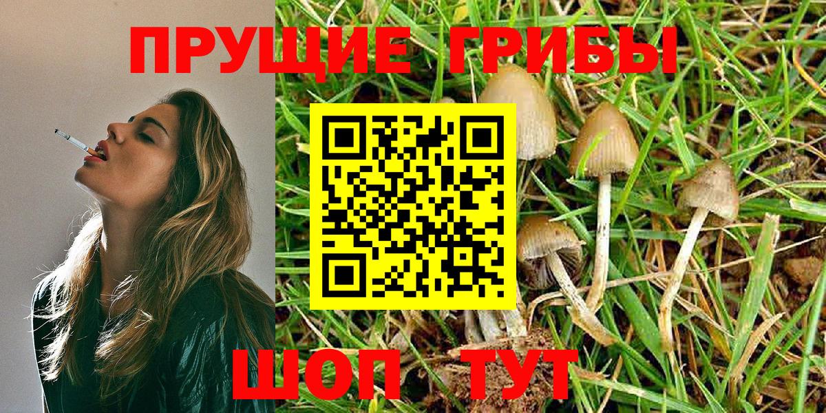 Галлюциногенные грибы Psilocybe  Галлюциногенные грибы мухоморы  Вход с VPN  Арсеньев 
